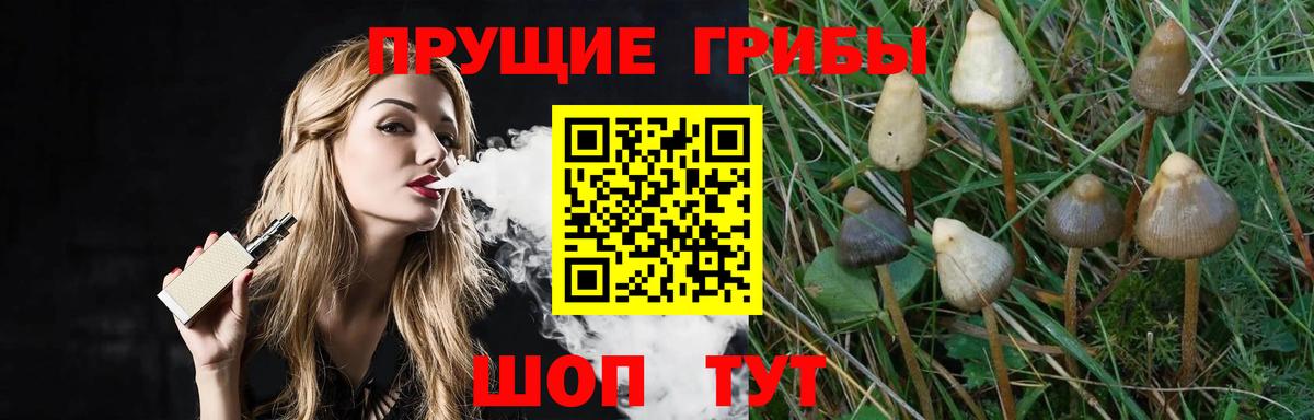 купить наркотики цена  Псилоцибиновые грибы прущие грибы  Вход с VPN  Прохладный 